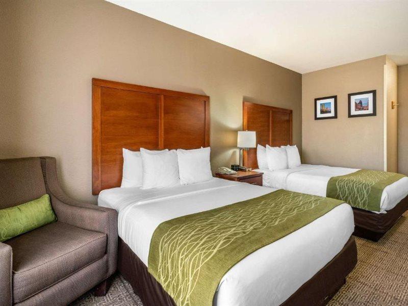 Comfort & - Area Hotel 3*